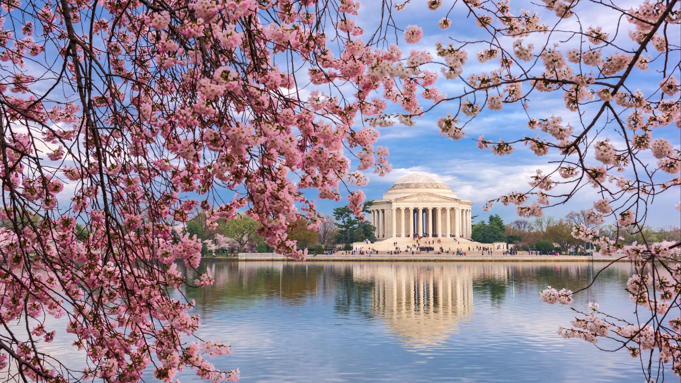 Flüge nach Washington, D.C.