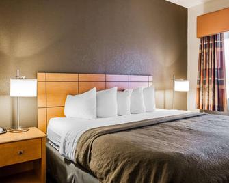 Quality Inn & Suites Des Moines Airport - Des Moines - Yatak Odası