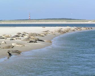 Sier Aan Zee - Ameland - Plage
