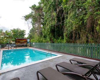 Pineapple Court Hotel - Ocho Ríos - Piscina