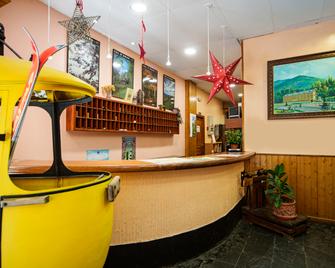 Hotel Hipic - Viella Mitg Arán - Recepción