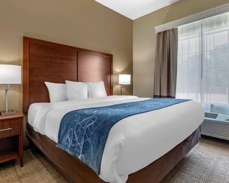 Comfort Inn and Suites Paris - Paris - Quarto