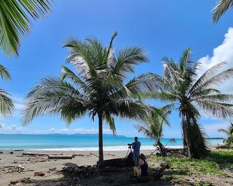 Nereus - Puerto Jiménez - Playa