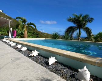 Paradise Solitude Gated Private Home Wit - Christiansted - Svømmebasseng